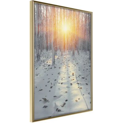 Artgeist Frosty Sunset - Cadre Or - Affiche - 40x60cm - Publicité Artgeist Frosty Sunset - Cadre Or - Affiche - 40x60cm - Publicité