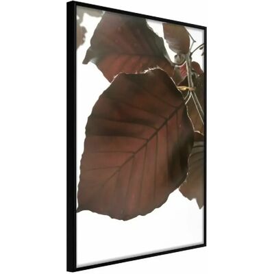 Paris Prix Burgundy Tilia Leaf - 20x30 cm Noir - Publicité Paris Prix Burgundy Tilia Leaf - 20x30 cm Noir - Publicité