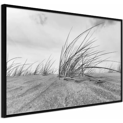 Paris Prix Affiche Encadrée Seaside Dunes 90x60 cm Noir - Publicité Paris Prix Affiche Encadrée Seaside Dunes 90x60 cm Noir - Publicité