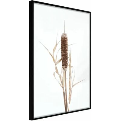 Artgeist Typha - Affiche encadrée - Style minimaliste - Publicité Artgeist Typha - Affiche encadrée - Style minimaliste - Publicité