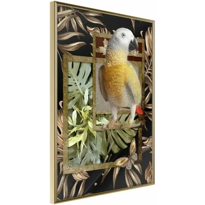Affiche encadrée Artgeist Conure Dorée - Décoration intérieure - Publicité Affiche encadrée Artgeist Conure Dorée - Décoration intérieure - Publicité