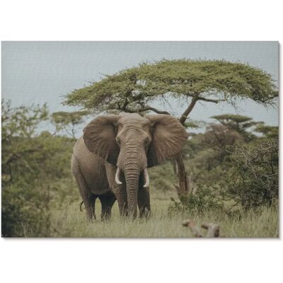 Tulup Affiche Murale - Éléphant Dans La Savane - 59,5x84 cm (A1) - Publicité Tulup Affiche Murale - Éléphant Dans La Savane - 59,5x84 cm (A1) - Publicité
