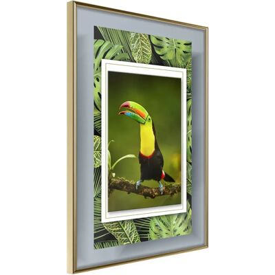 Affiche Artgeist Toucans dans le Cadre - 30x45 Cadre Doré - Type de Produit - Publicité Affiche Artgeist Toucans dans le Cadre - 30x45 Cadre Doré - Type de Produit - Publicité