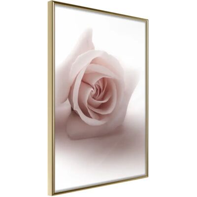 Paris Prix Affiche Murale Encadrée Subtle Flower 40 x 60 cm Or - Publicité Paris Prix Affiche Murale Encadrée Subtle Flower 40 x 60 cm Or - Publicité