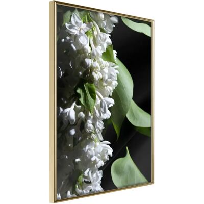 Artgeist Printemps Parfumé Cadre Doré 30x45cm - Affiche - Publicité Artgeist Printemps Parfumé Cadre Doré 30x45cm - Affiche - Publicité