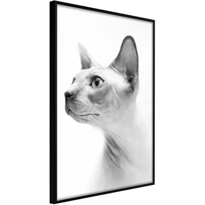 Paris Prix Affiche Murale Encadrée Sphinx 21 x 30 cm Noir - Publicité Paris Prix Affiche Murale Encadrée Sphinx 21 x 30 cm Noir - Publicité
