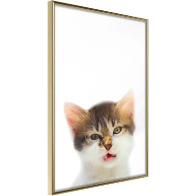 Paris Prix Affiche Murale Encadrée Funny Kitten 40 x 60 cm Or - Publicité Paris Prix Affiche Murale Encadrée Funny Kitten 40 x 60 cm Or - Publicité
