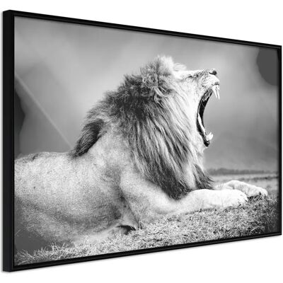 Artgeist Poster Lion Qui Bâille - Cadre Noir - Publicité Artgeist Poster Lion Qui Bâille - Cadre Noir - Publicité