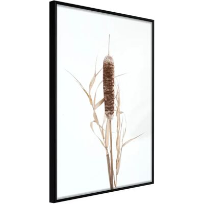 Paris Prix Affiche Murale Encadrée Typha 40 x 60 cm Noir - Publicité Paris Prix Affiche Murale Encadrée Typha 40 x 60 cm Noir - Publicité