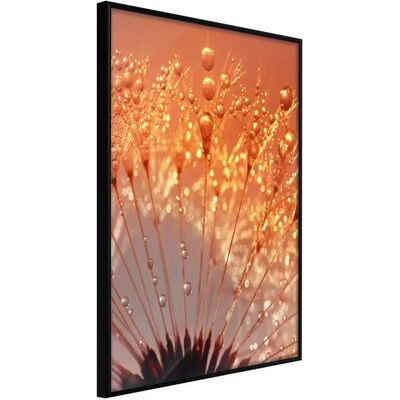Artgeist Orange Breath of The Summer - Affiche - 40x60 cm - Publicité Artgeist Orange Breath of The Summer - Affiche - 40x60 cm - Publicité