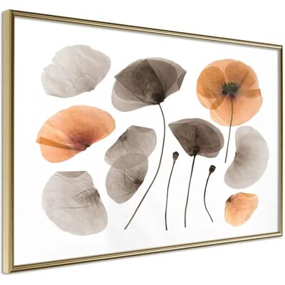 Paris Prix Affiche Murale Encadrée Dried Poppies 45 x 30 cm Or - Publicité Paris Prix Affiche Murale Encadrée Dried Poppies 45 x 30 cm Or - Publicité