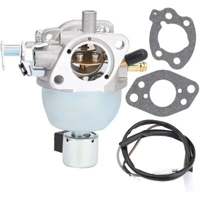 General Carburateur pour tondeuse à gazon BRIGGS & STRATTON 846944 847395 808725 350777~0208 - Publicité General Carburateur pour tondeuse à gazon BRIGGS & STRATTON 846944 847395 808725 350777~0208 - Publicité