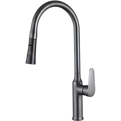 Avizar Robinet de Cuisine Extensible avec Embout Rétractable Flexible Noir / Argent - Publicité Avizar Robinet de Cuisine Extensible avec Embout Rétractable Flexible Noir / Argent - Publicité