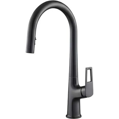 Avizar Robinet de Cuisine Extensible à Double Fonction Bec Haut Noir - Publicité Avizar Robinet de Cuisine Extensible à Double Fonction Bec Haut Noir - Publicité
