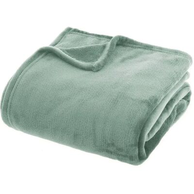 Pegane Plaid couverture en flanelle coloris Vert- Longueur 230 x largeur 180 - Publicité Pegane Plaid couverture en flanelle coloris Vert- Longueur 230 x largeur 180 - Publicité