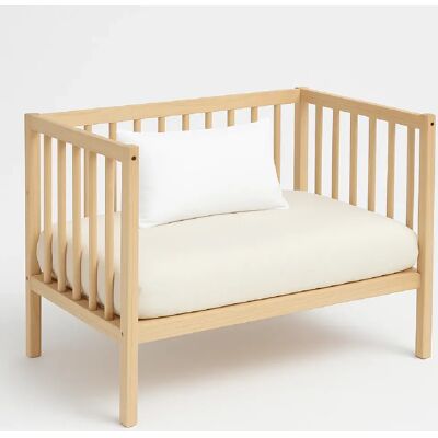 Mortreux Oreiller blanc coton anti-acariens - 40x60 - Moelleux - 39934 - Publicité Mortreux Oreiller blanc coton anti-acariens - 40x60 - Moelleux - 39934 - Publicité