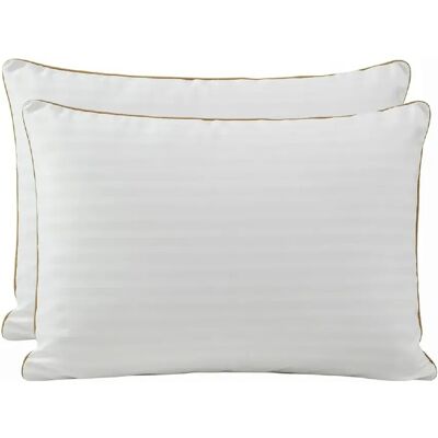 Home Collection Lot de 2 oreillers garnissage plume de canard blanc - Publicité Home Collection Lot de 2 oreillers garnissage plume de canard blanc - Publicité