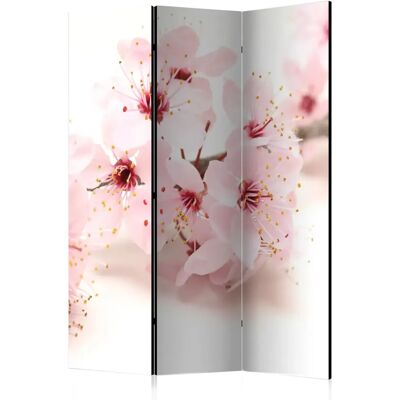 Paravent Cherry Blossom d'Artgeist - 135x172 cm - 3 panneaux - Publicité Paravent Cherry Blossom d'Artgeist - 135x172 cm - 3 panneaux - Publicité