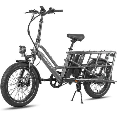 FAFREES FF20 CUV Vélo Électrique - 250W 48V24Ah - Gris Bronze - Publicité FAFREES FF20 CUV Vélo Électrique - 250W 48V24Ah - Gris Bronze - Publicité
