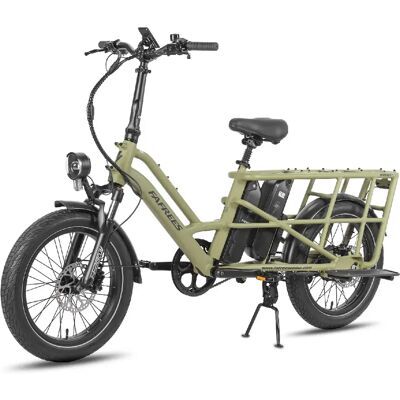 FAFREES FF20 CUV Vélo Électrique - 250W 48V24Ah - Vert - Publicité FAFREES FF20 CUV Vélo Électrique - 250W 48V24Ah - Vert - Publicité