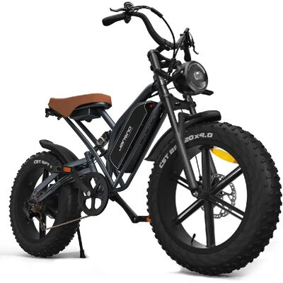 Vélo électrique tout-terrain JANSNO X50 750W 48V17AH, batterie amovible, pneus larges 20” - Publicité Vélo électrique tout-terrain JANSNO X50 750W 48V17AH, batterie amovible, pneus larges 20” - Publicité