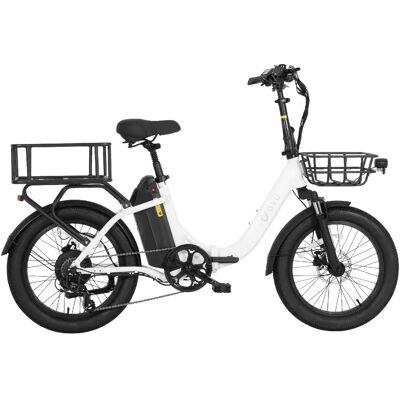 Vélo Électrique Pliable DYU C9 Adulte 250W 48V15,6AH Pneus Fat Tire 20 Pouces Tout-Terrain - Publicité Vélo Électrique Pliable DYU C9 Adulte 250W 48V15,6AH Pneus Fat Tire 20 Pouces Tout-Terrain - Publicité