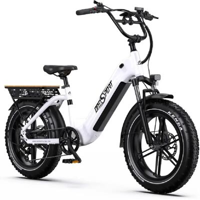 Vélo électrique adulte Onesport OT08 500W, 48V 18Ah, pneus 20x4 pouces, ville - Publicité Vélo électrique adulte Onesport OT08 500W, 48V 18Ah, pneus 20x4 pouces, ville - Publicité