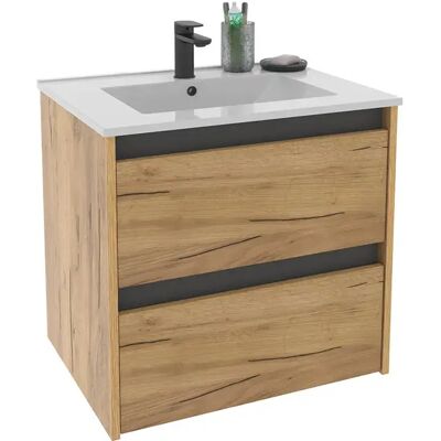 Pegane Meuble sous-vasque suspendu à 2 tiroirs (sans lavabo) coloris Chêne - Publicité Pegane Meuble sous-vasque suspendu à 2 tiroirs (sans lavabo) coloris Chêne - Publicité