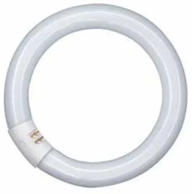 Osram tube fluorescent T9 circulaire G10q - Publicité Osram tube fluorescent T9 circulaire G10q - Publicité