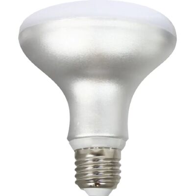 Silver Electronics R90 Ampoule LED Blanc Gris 12W - Ampoule LED - Publicité Silver Electronics R90 Ampoule LED Blanc Gris 12W - Ampoule LED - Publicité