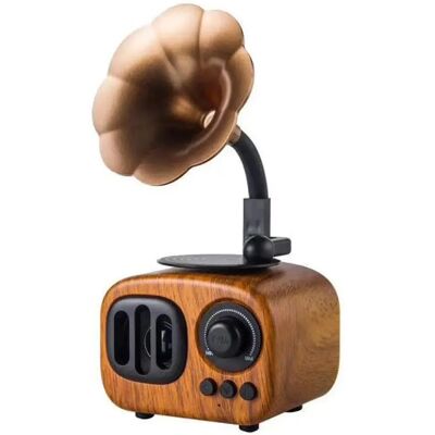 Yonis Enceinte Bluetooth Rétro Bois Vert - Publicité Yonis Enceinte Bluetooth Rétro Bois Vert - Publicité