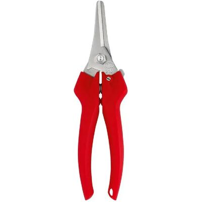 Felco 310 - sécateurs pour fruits et fleurs tendres - Produit Felco authentique - Publicité Felco 310 - sécateurs pour fruits et fleurs tendres - Produit Felco authentique - Publicité