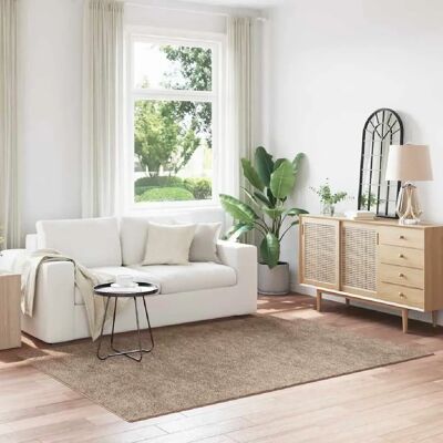 vidaXL - Shaggy Latex-Backed - Marron - 160x230 cm - Rug - Publicité vidaXL - Shaggy Latex-Backed - Marron - 160x230 cm - Rug - Publicité
