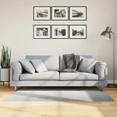 Tapis scandinave gris à poil court vidaXL - Tapis de sol 80x150cm - Publicité Tapis scandinave gris à poil court vidaXL - Tapis de sol 80x150cm - Publicité