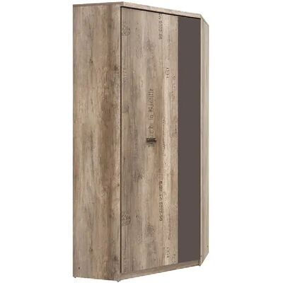 Pegane Armoire d'angle 1 porte - Chêne - Publicité Pegane Armoire d'angle 1 porte - Chêne - Publicité