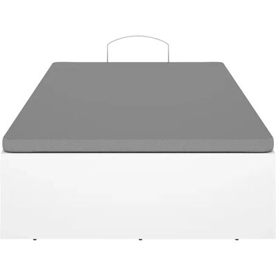 Pegane Lit coffre 1 place 90x190 avec sommier relevable, coloris blanc/graphite - Publicité Pegane Lit coffre 1 place 90x190 avec sommier relevable, coloris blanc/graphite - Publicité
