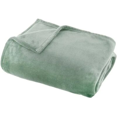 ATMOSPHERA Plaid en Flanelle Uni Ollis 130x180cm Vert Céladon - Publicité ATMOSPHERA Plaid en Flanelle Uni Ollis 130x180cm Vert Céladon - Publicité