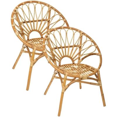 Pegane Lot de 2 Fauteuils en rotin naturel - Longueur 67 x Profondeur 61 x Hauteur 84 cm - Publicité Pegane Lot de 2 Fauteuils en rotin naturel - Longueur 67 x Profondeur 61 x Hauteur 84 cm - Publicité