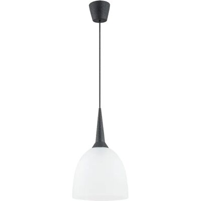 Suspension noire dôme blanc Ø23cm E27 15W Alfa Unino - Publicité Suspension noire dôme blanc Ø23cm E27 15W Alfa Unino - Publicité