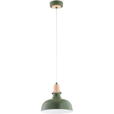 Suspension industrielle verte bois E27 15W Alfa Solo - Publicité Suspension industrielle verte bois E27 15W Alfa Solo - Publicité