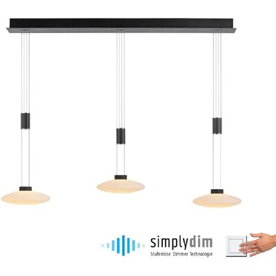 Suspension Lautada de Paul Neuhaus - Réglable, Dimmable, Noire - Publicité Suspension Lautada de Paul Neuhaus - Réglable, Dimmable, Noire - Publicité