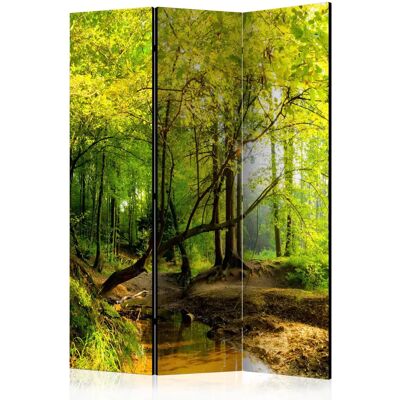 Paravent Forest Clearing - 135x172 cm - Artgeist - Publicité Paravent Forest Clearing - 135x172 cm - Artgeist - Publicité
