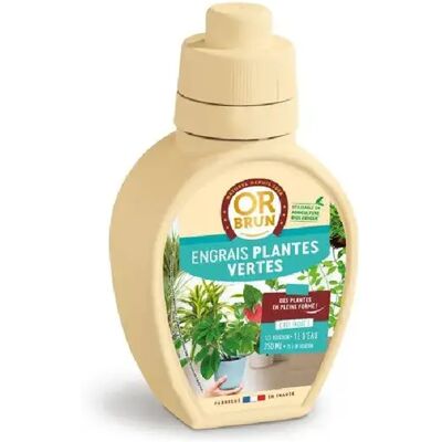 OR BRUN Engrais pour plantes vertes d'intérieur 250 ml NPK 3-3-5 - Publicité OR BRUN Engrais pour plantes vertes d'intérieur 250 ml NPK 3-3-5 - Publicité