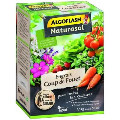 Algoflash Naturasol Engrais Guano - 1,6 kg - Publicité Algoflash Naturasol Engrais Guano - 1,6 kg - Publicité