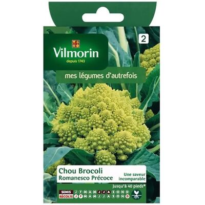 VILMORIN Chou Brocoli Romanesco Précoce - Publicité VILMORIN Chou Brocoli Romanesco Précoce - Publicité
