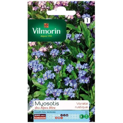 Vilmorin Graines Myosotis des Alpes Bleu - Publicité Vilmorin Graines Myosotis des Alpes Bleu - Publicité