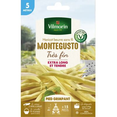 Vilmorin Montegusto Graines de Haricot Beurre - Publicité Vilmorin Montegusto Graines de Haricot Beurre - Publicité