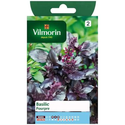 Graines de Basilic Violet VILMORIN - Graines d'Herbes - Publicité Graines de Basilic Violet VILMORIN - Graines d'Herbes - Publicité