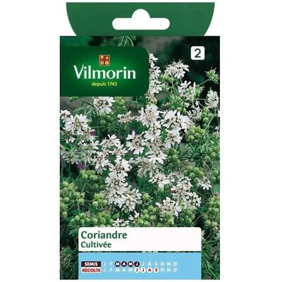 Vilmorin Graines Coriandre - Publicité Vilmorin Graines Coriandre - Publicité