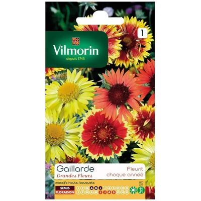 Vilmorin Sachet graines Gaillarde Grandes fleurs - Publicité Vilmorin Sachet graines Gaillarde Grandes fleurs - Publicité